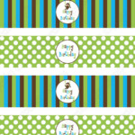 DIY Monkey Birthday Party PRINTABLE Water Bottle Labels Blue Green