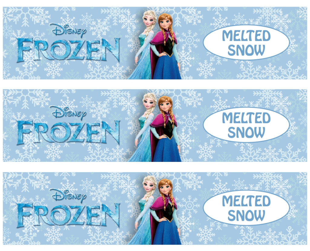 Frozen Melted Snow Water Bottle Labels