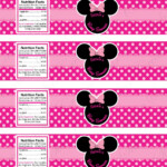 Minnie Mouse Water Bottle Labels