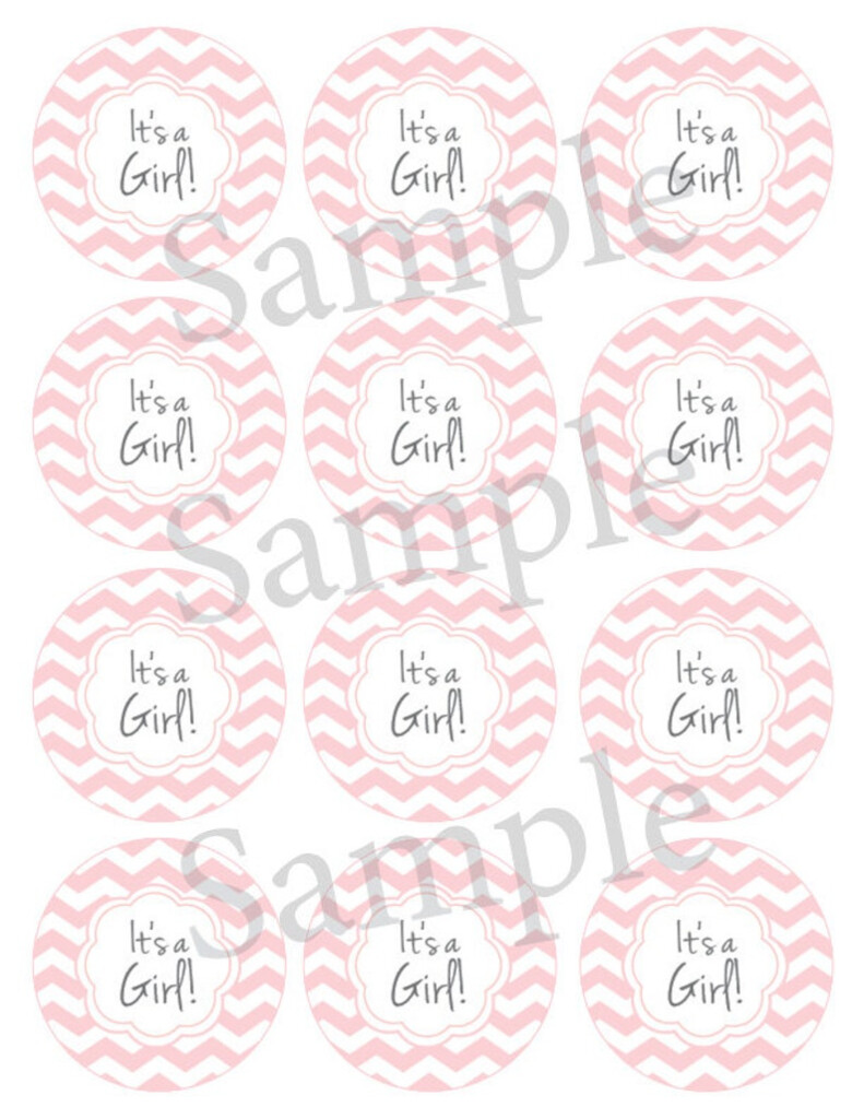 Printable Baby Shower Mason Jar Label PDF For Girl Chevron Etsy